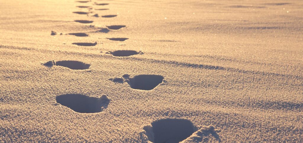 מנהיגות וניווט אנשים באי ודאות ובמשבר