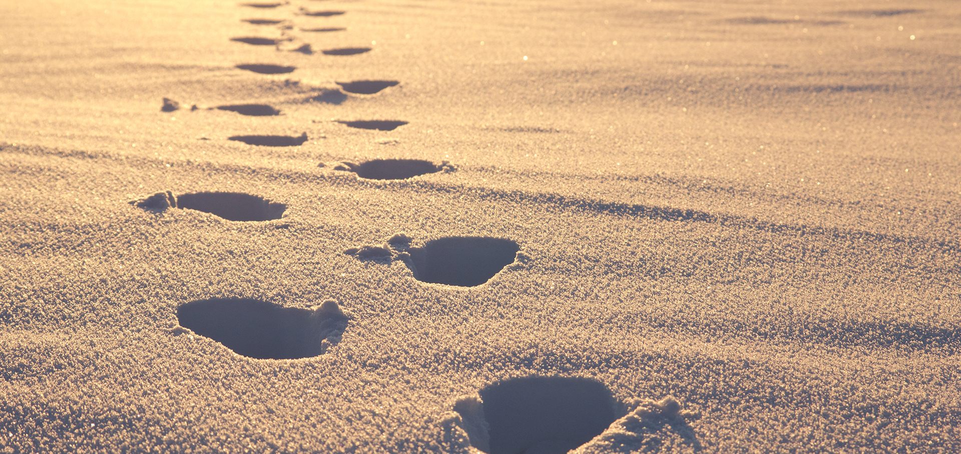 מנהיגות וניווט אנשים באי ודאות ובמשבר