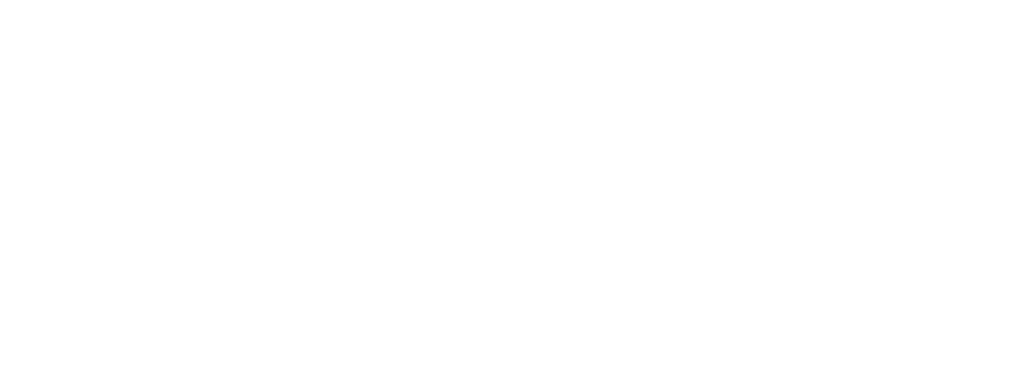 Inna Fried אינה פריד – מצוינות אישית. ניהולית. ארגונית.